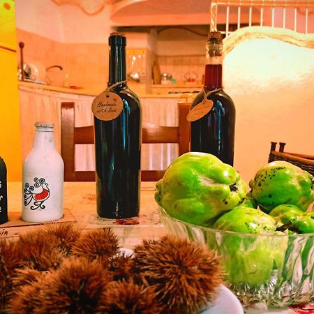 דירות סאסארי Casa Ele - Casa Indipendente Con Cucina - Bikes Friendly מראה חיצוני תמונה